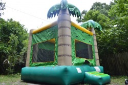 Tropical Bounce House #3